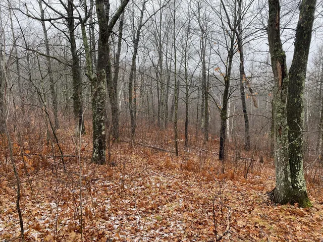 $159,900 | Tbd 170th Place, McGregor, MN 55760