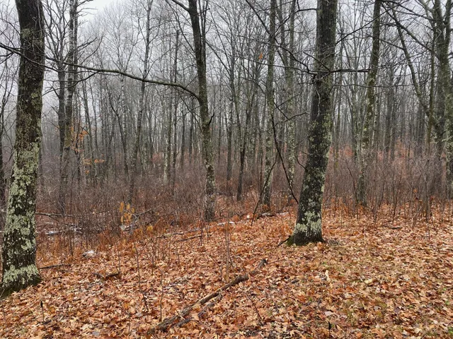 $159,900 | Tbd 170th Place, McGregor, MN 55760