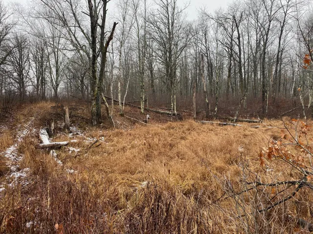 $159,900 | Tbd 170th Place, McGregor, MN 55760