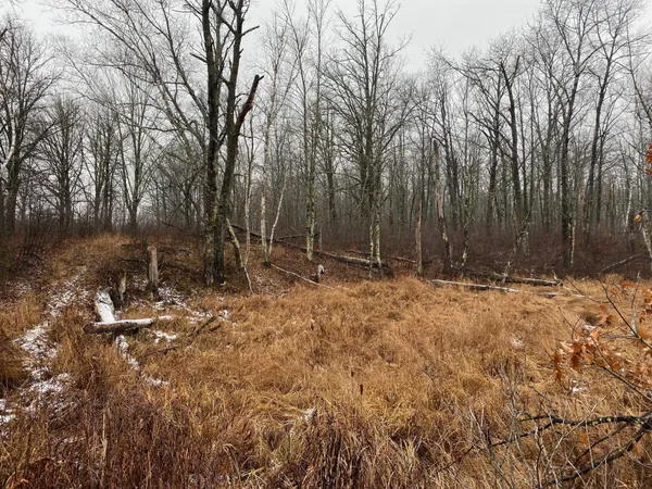 $159,900 | Tbd 170th Place, McGregor, MN 55760