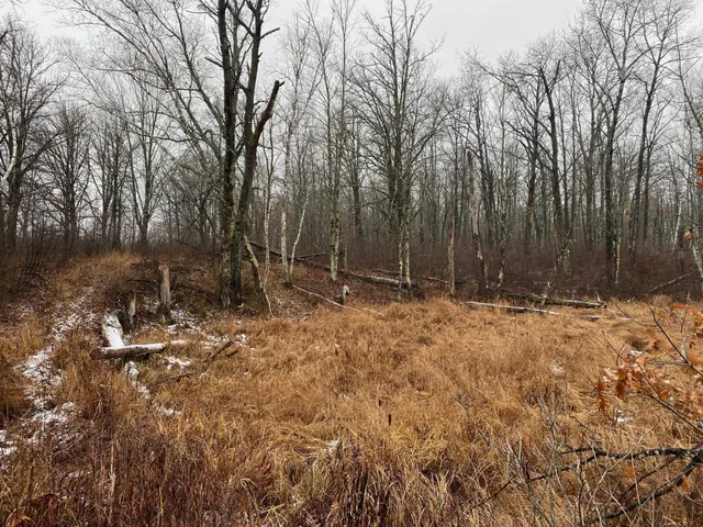 $159,900 | Tbd 170th Place, McGregor, MN 55760