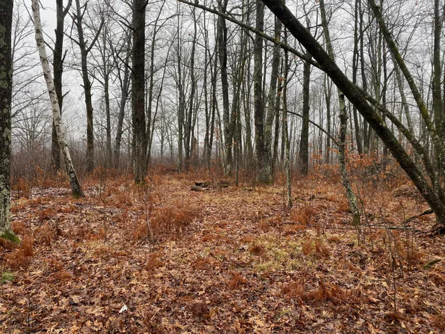 $159,900 | Tbd 170th Place, McGregor, MN 55760