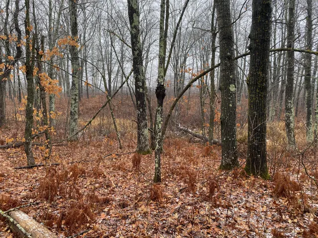 $159,900 | Tbd 170th Place, McGregor, MN 55760