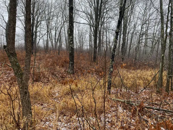 $159,900 | Tbd 170th Place, McGregor, MN 55760