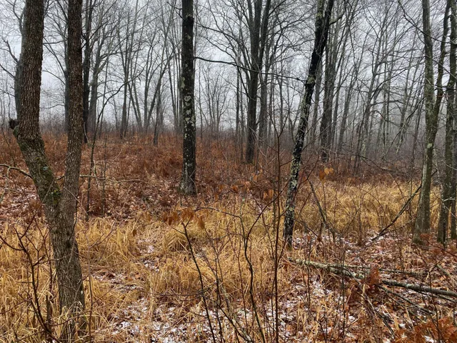 $159,900 | Tbd 170th Place, McGregor, MN 55760