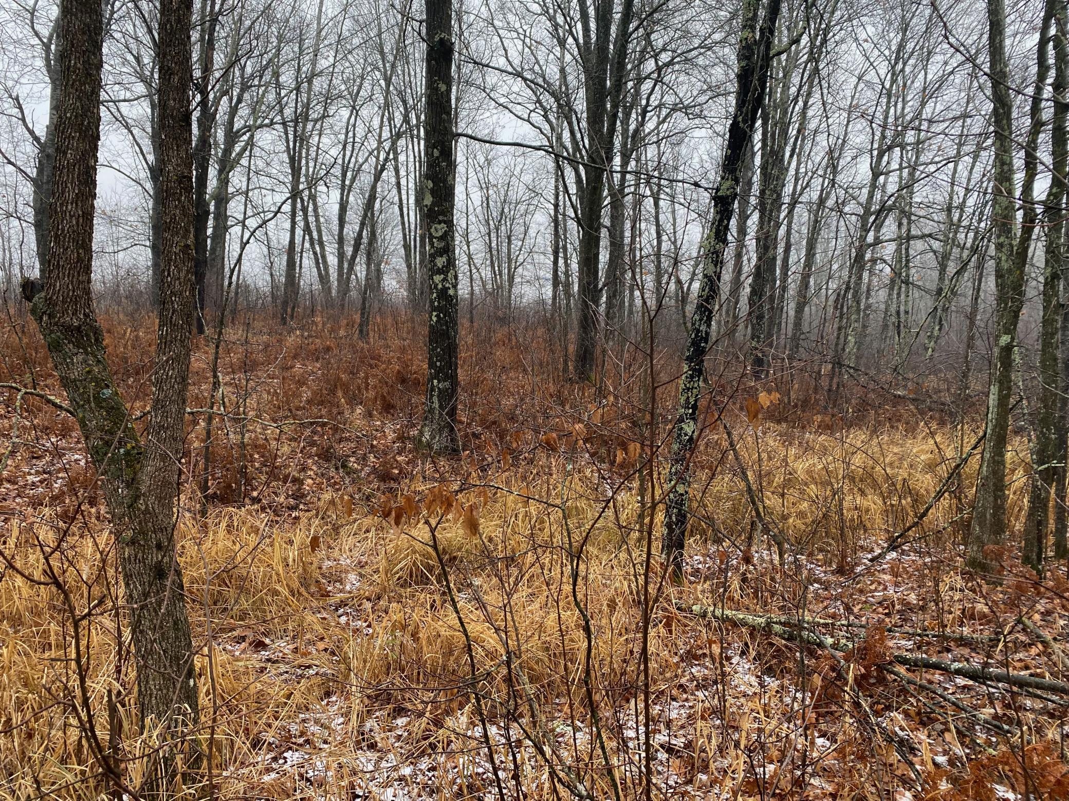 Tbd 170th Place McGregor, MN 55760 - Photo 36 of 56