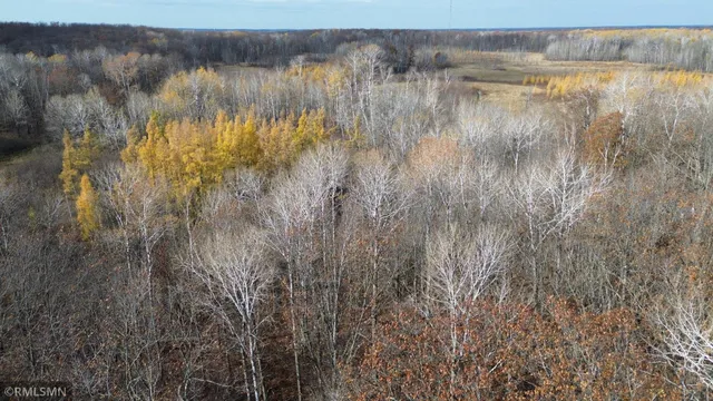 $159,900 | Tbd 170th Place, McGregor, MN 55760