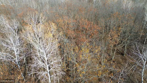$159,900 | Tbd 170th Place, McGregor, MN 55760