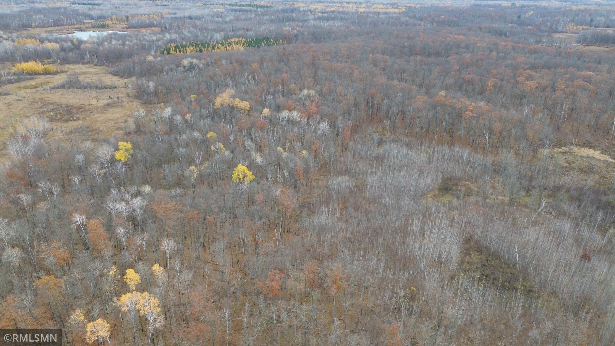 Tbd 170th Place McGregor, MN 55760 - Photo 53 of 56