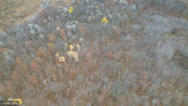 $159,900 | Tbd 170th Place, McGregor, MN 55760