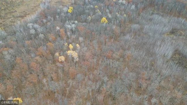 $159,900 | Tbd 170th Place, McGregor, MN 55760