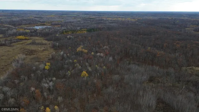 $159,900 | Tbd 170th Place, McGregor, MN 55760