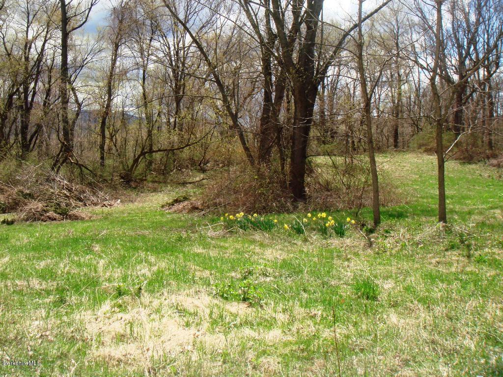 1087 North Hoosac Road Williamstown, MA 01267 - Photo 2 of 10 Property