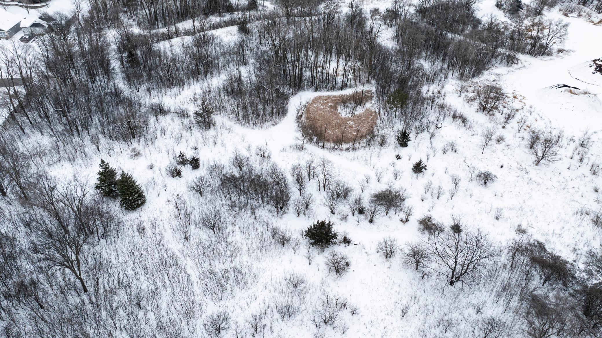 Tbd Colonial Trail Farmington, MN 55024 - Photo 15 of 15