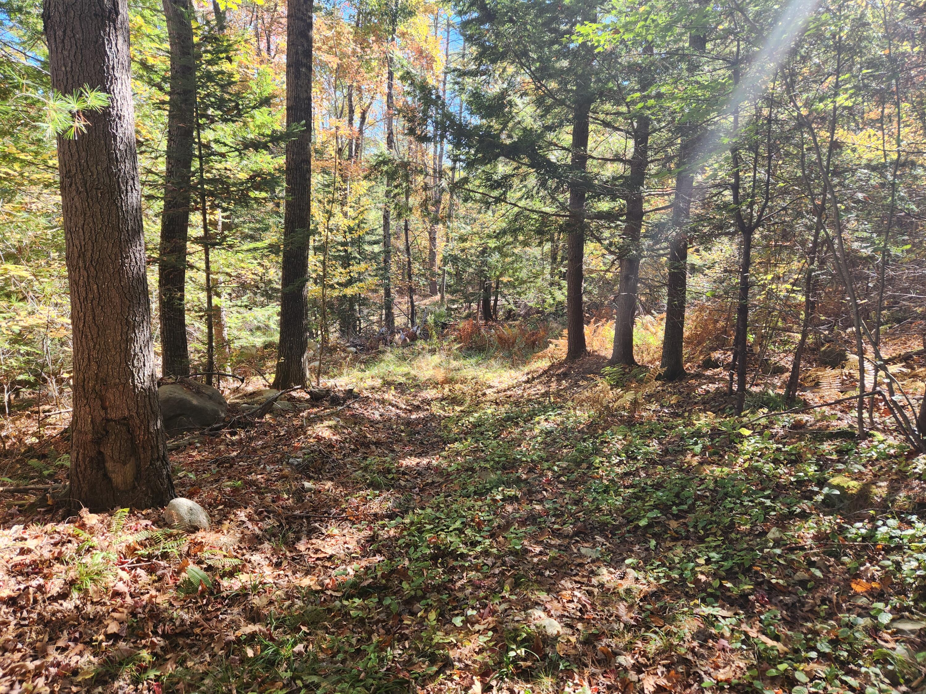 14 D Thomas Hill Road Norway, ME 04268 - Photo 20 of 32 20251002_103740