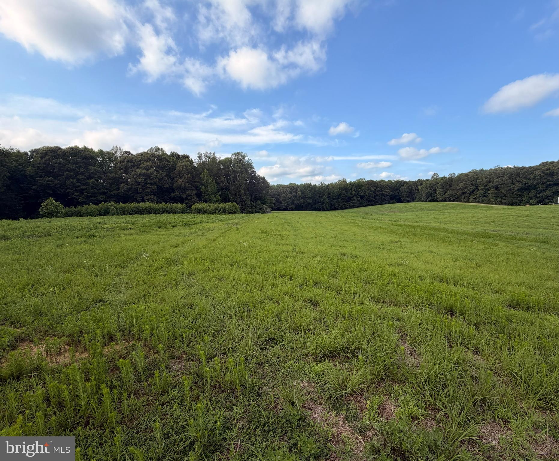 Canterbury Loop King George, VA 22485 - Photo 1 of 20