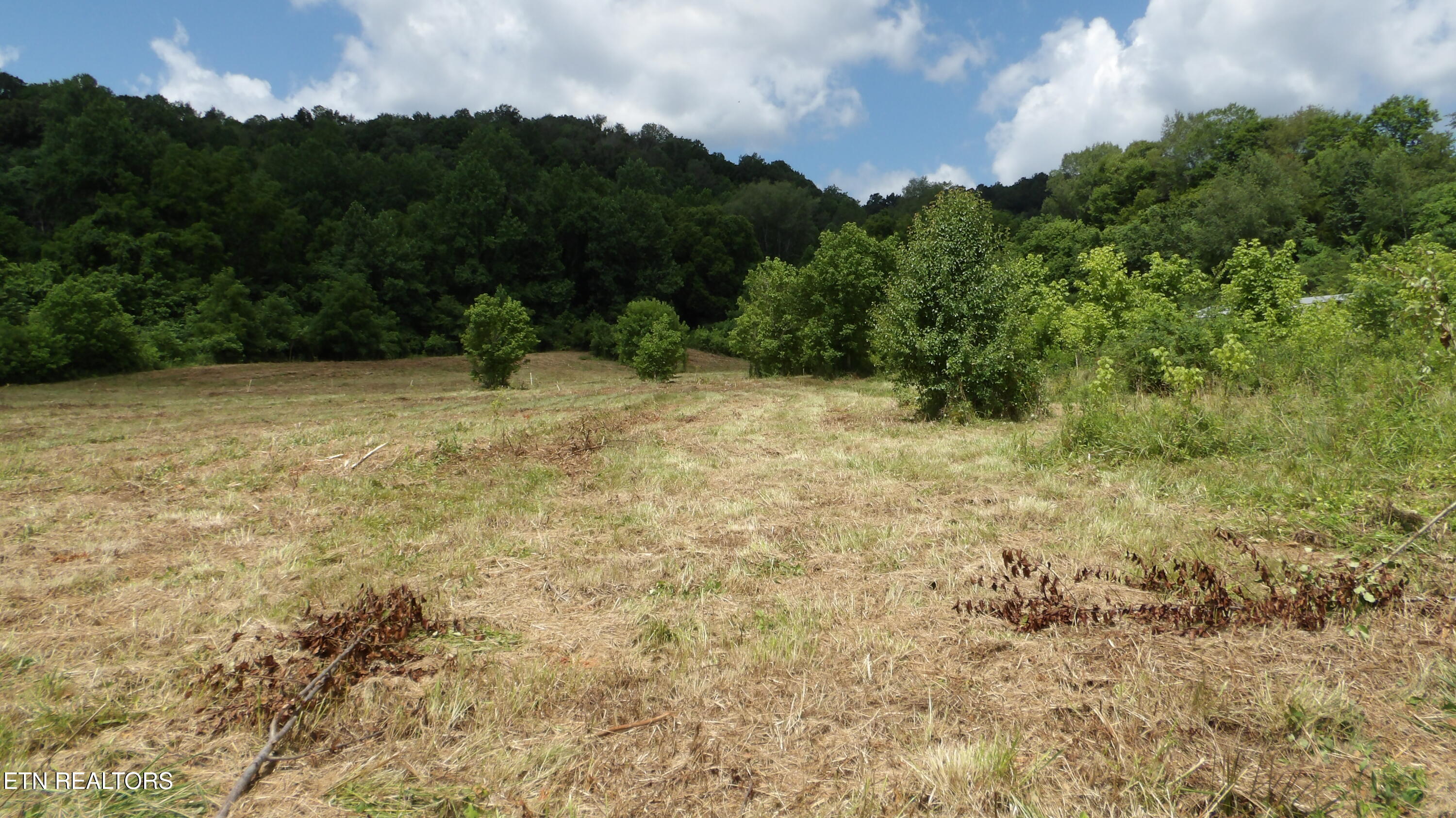 5.6-ac Lonnie Reecer Road Celina, TN 38551 - Photo 7 of 47 100_0038