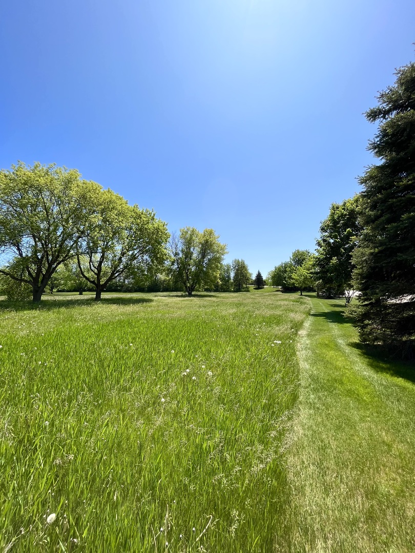 3013 Highway 12 Spring Grove, IL 60081 - Photo 3 of 7 a view of green field with trees