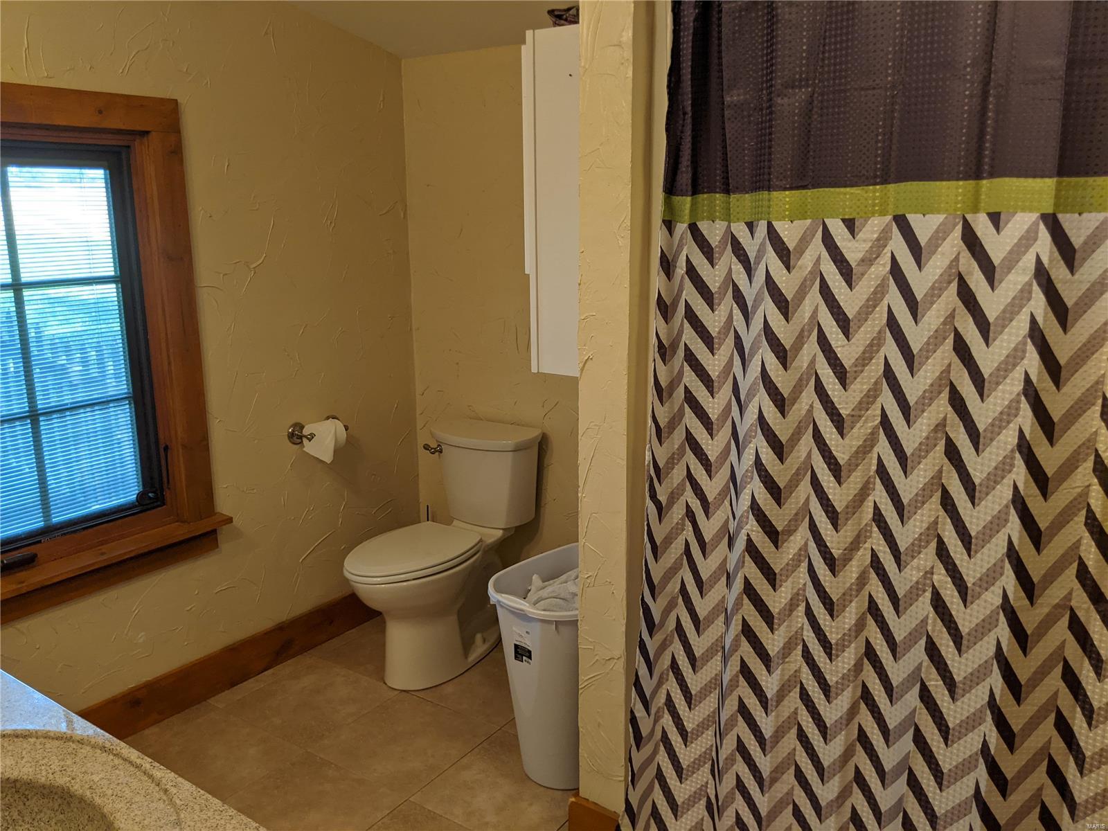 2317 Old Plank Road Chester, IL 62233 - Photo 28 of 44