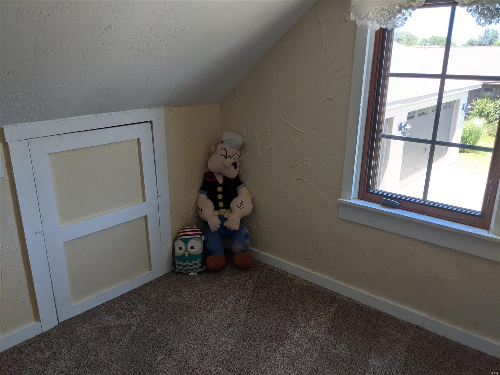 2317 Old Plank Road Chester, IL 62233 - Photo 32 of 44