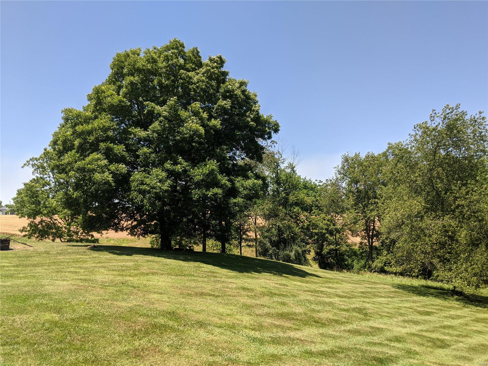 2317 Old Plank Road Chester, IL 62233 - Photo 38 of 44