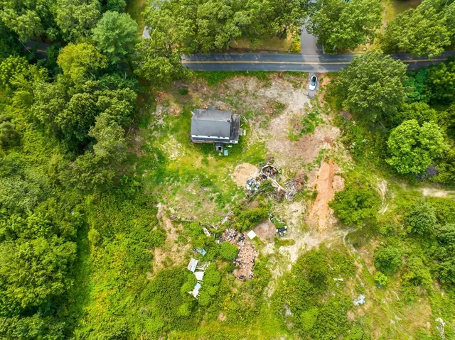 a floor to ceiling window and a tree