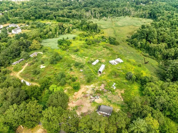 a view of a large trees