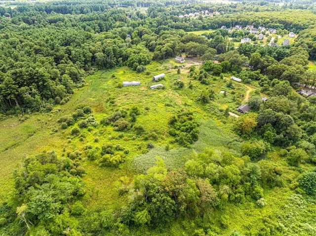 a view of a big yard with plants and large trees