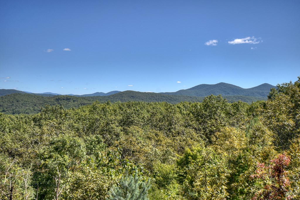 316 Blue Sky Drive Blue Ridge, GA 30513 - Photo 63 of 78 Gallery Image 63