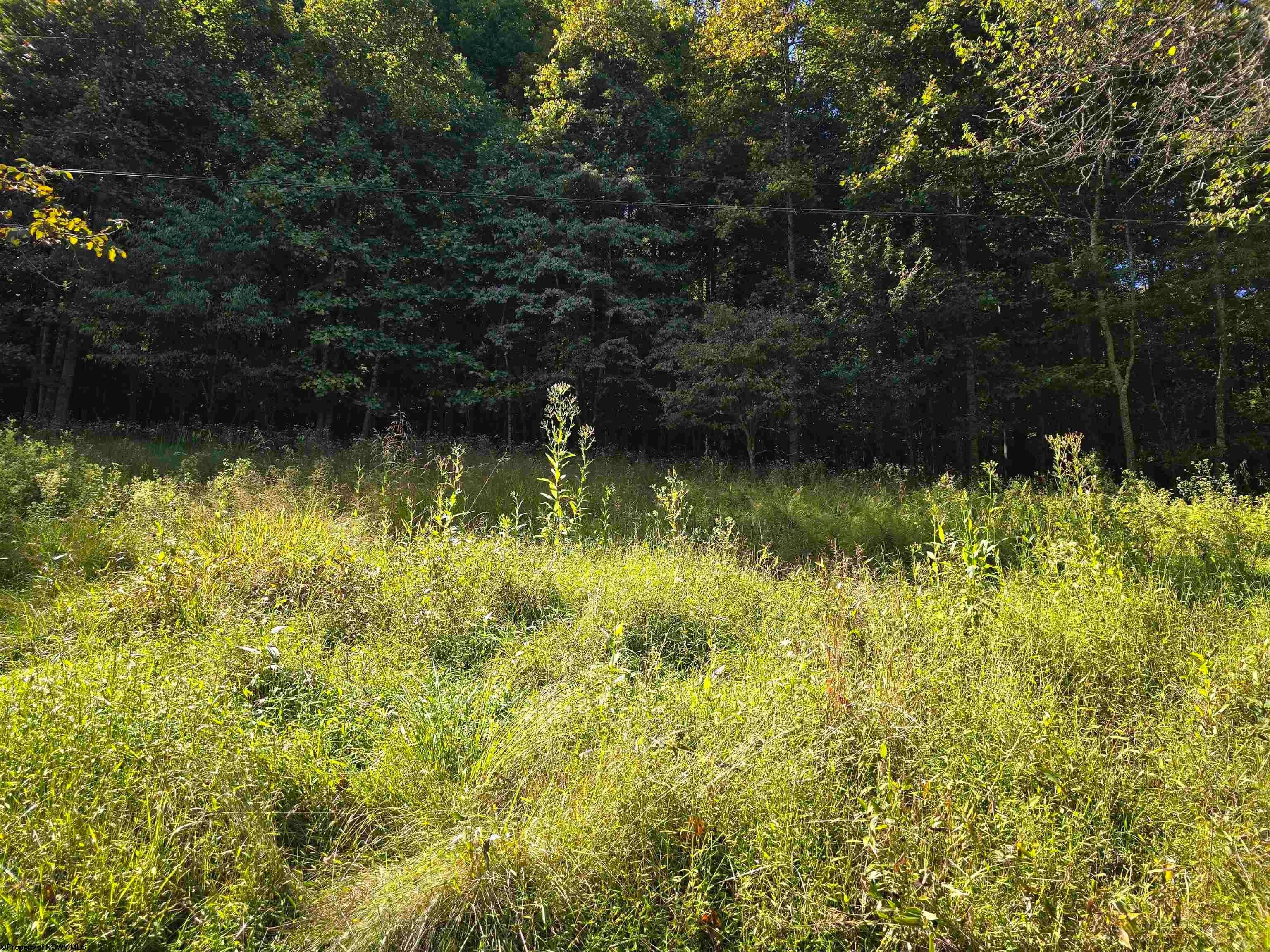 334 Samaria Road Fairmont, WV 26554 - Photo 14 of 50 Gallery Image 14