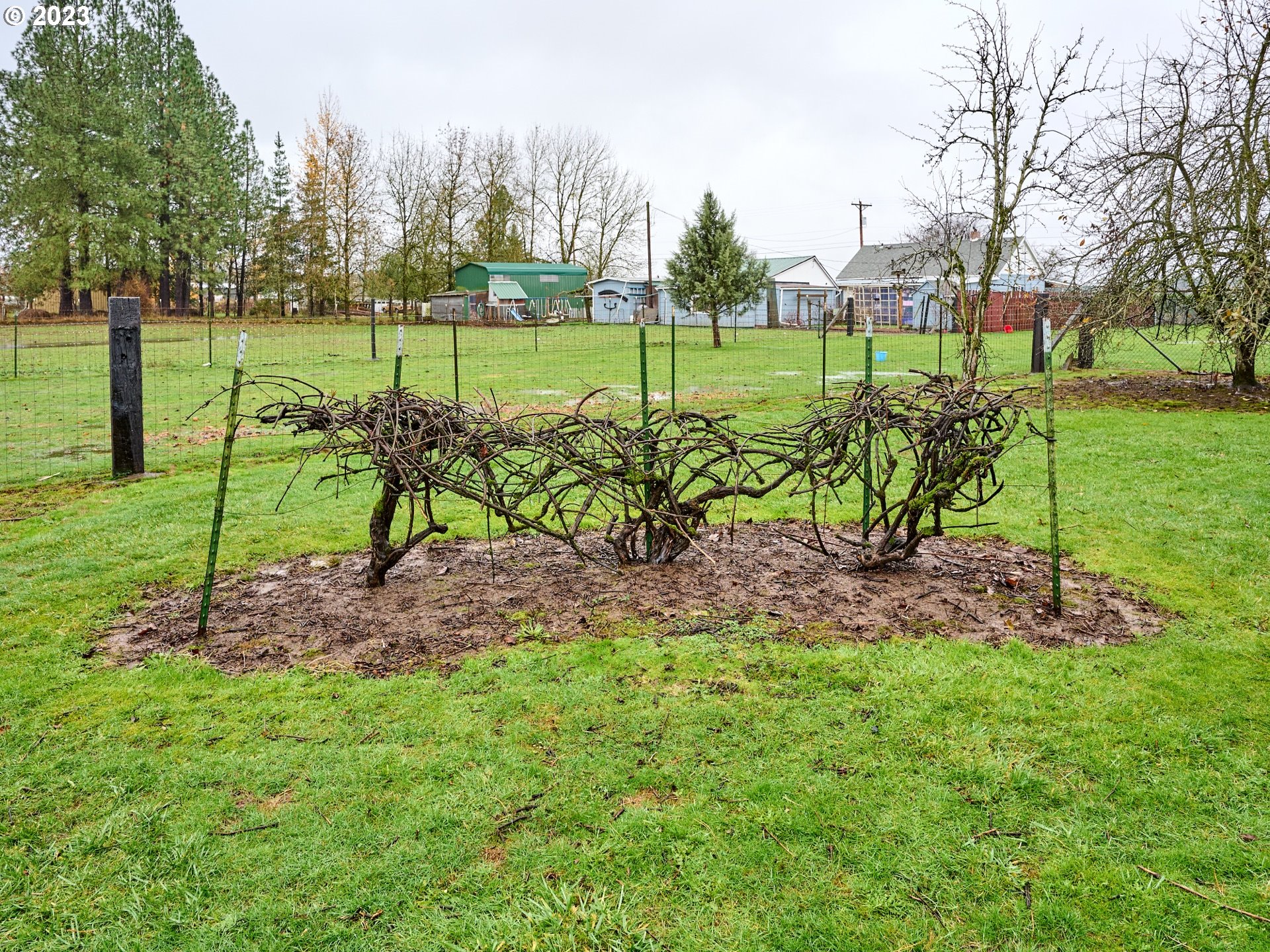 30158 South Sprague Road Molalla, OR 97038 - Photo 35 of 38 Gallery Image 35