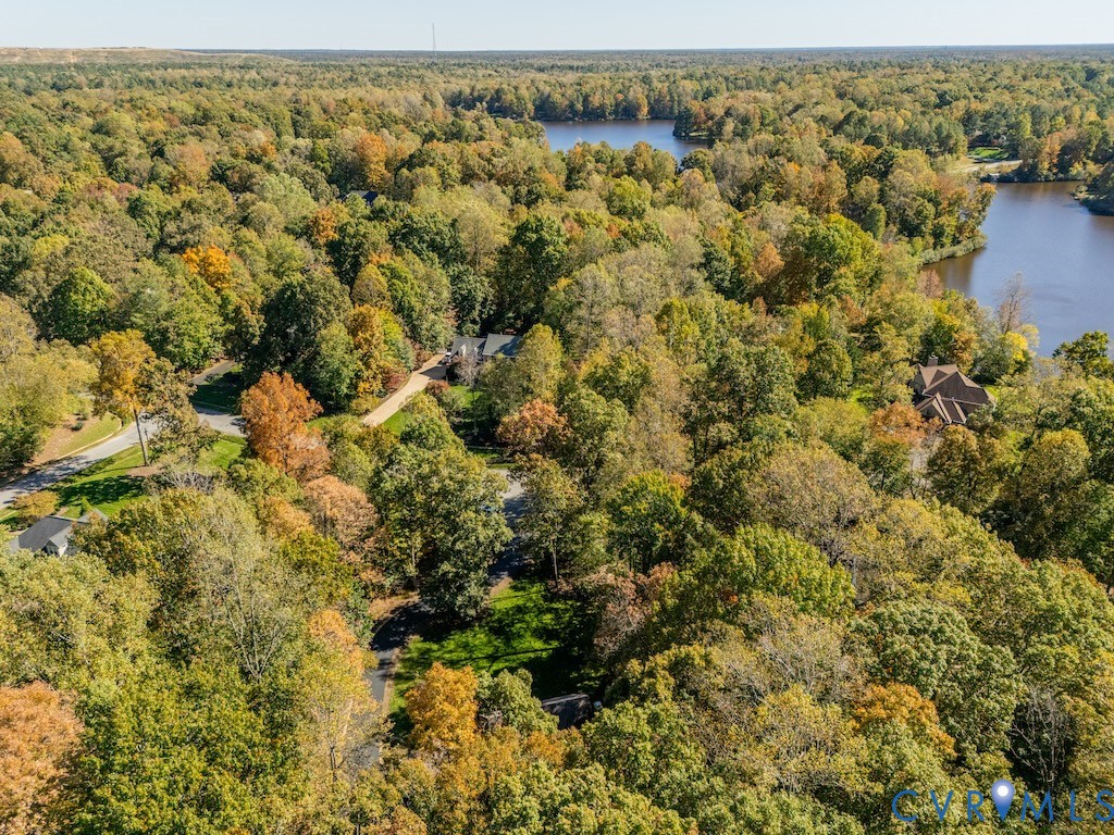 11802 Glendevon Road Chesterfield, VA 23838 - Photo 47 of 47 a view of a forest with a lake