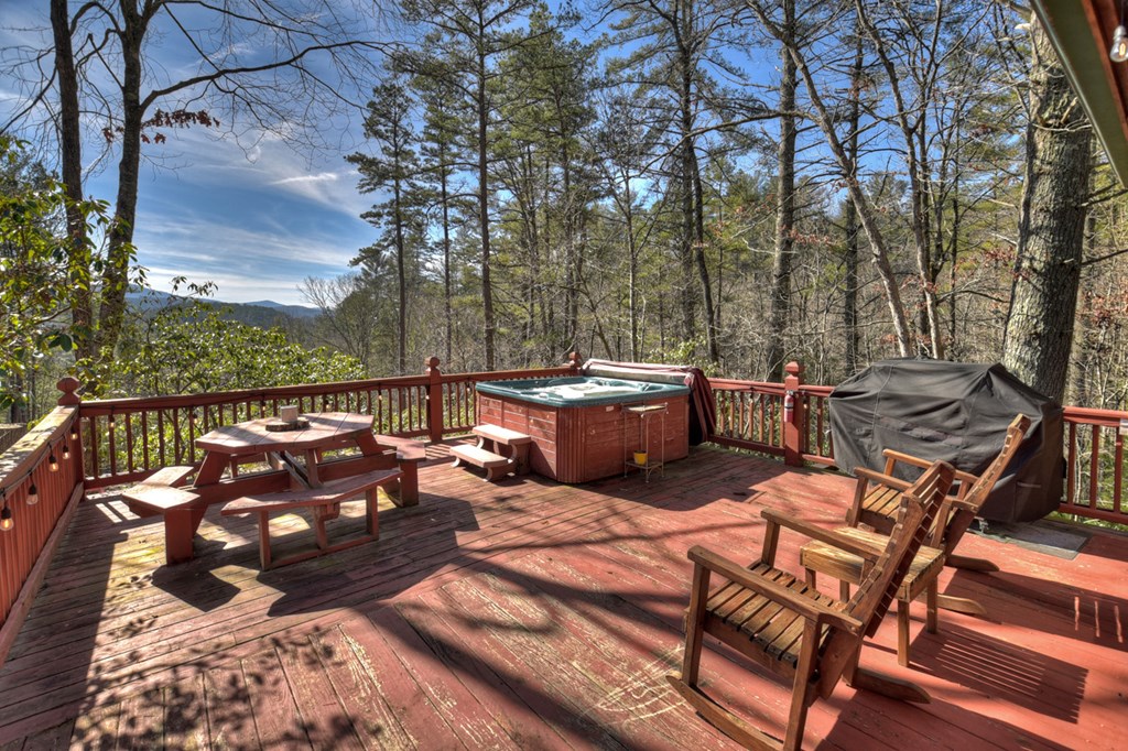 468 Conley Branch Road Blue Ridge, GA 30513 - Photo 17 of 20 Gallery Image 17