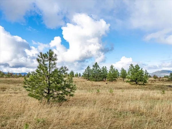 $199,900 | Nine West Petrichor Lane, Nine Mile Falls, WA 99026