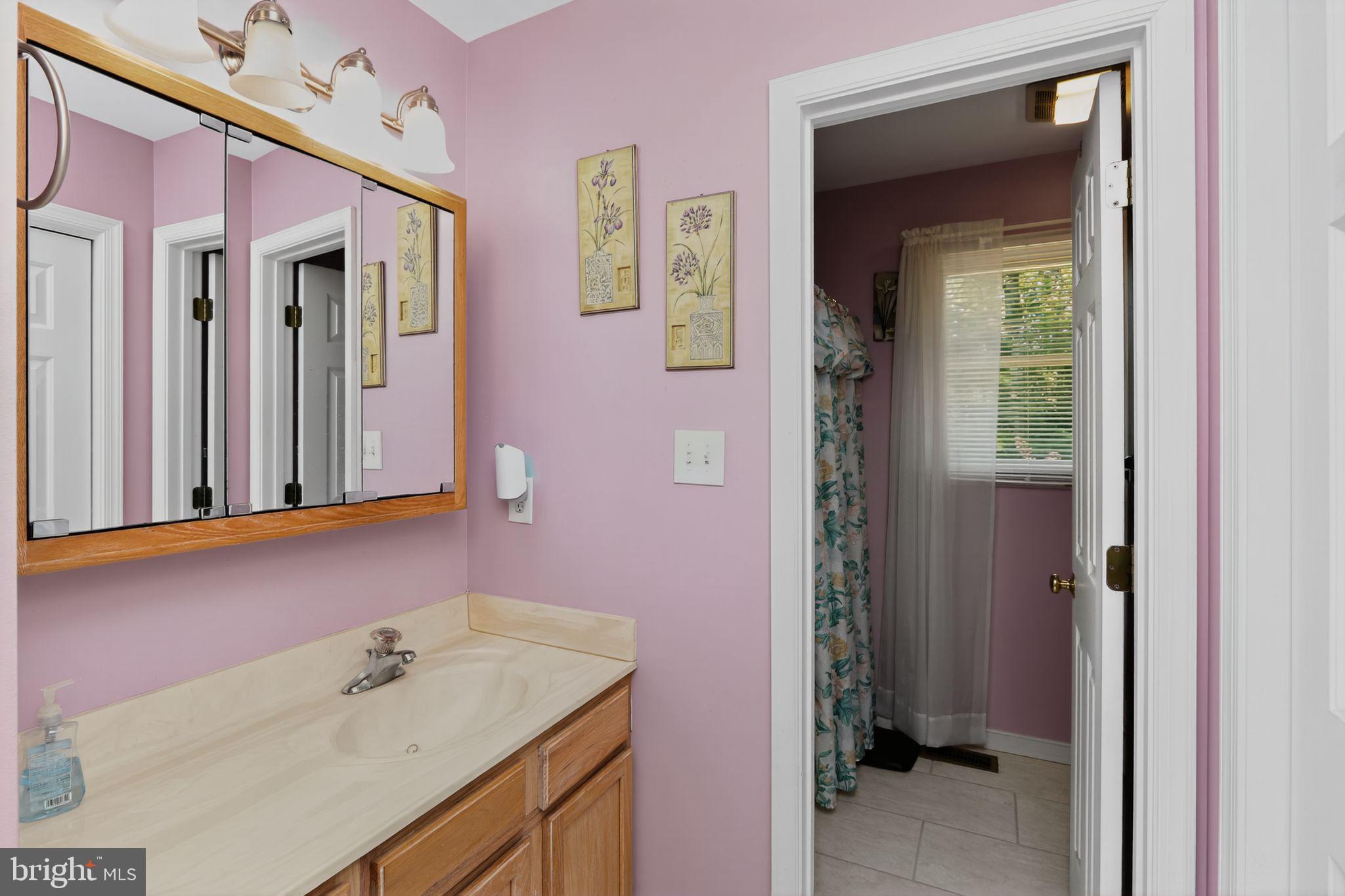 330 Powder Horn Drive Ruther Glen, VA 22546 - Photo 8 of 26 Primary suite bath w/ classic vanity & tile floors