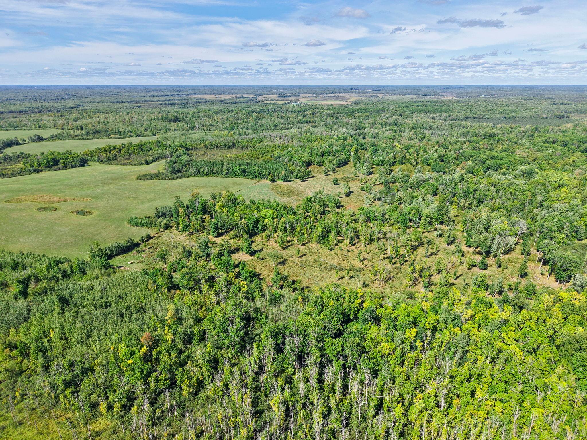 Xxx Fleming Logging Road Hinckley, MN 55037 - Photo 55 of 87 Gallery Image 55