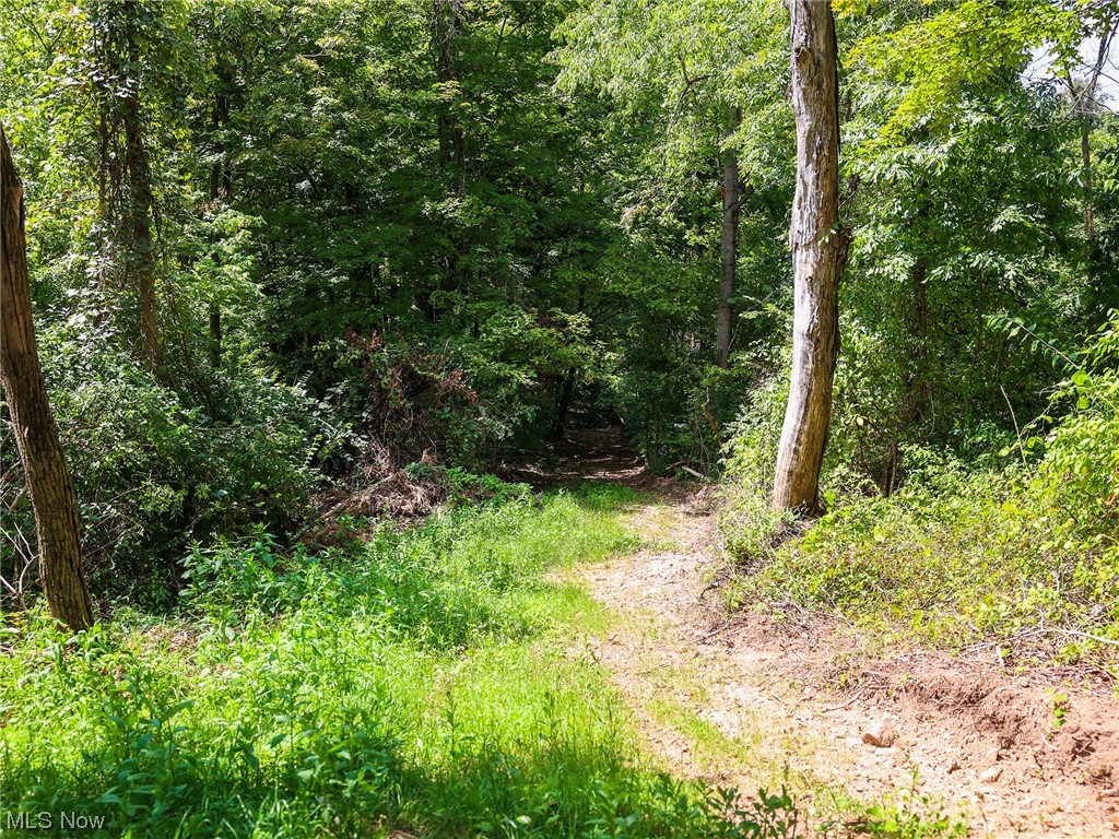 3789 Dixon Ridge Road Lowell, OH 45744 - Photo 22 of 30 Gallery Image 22