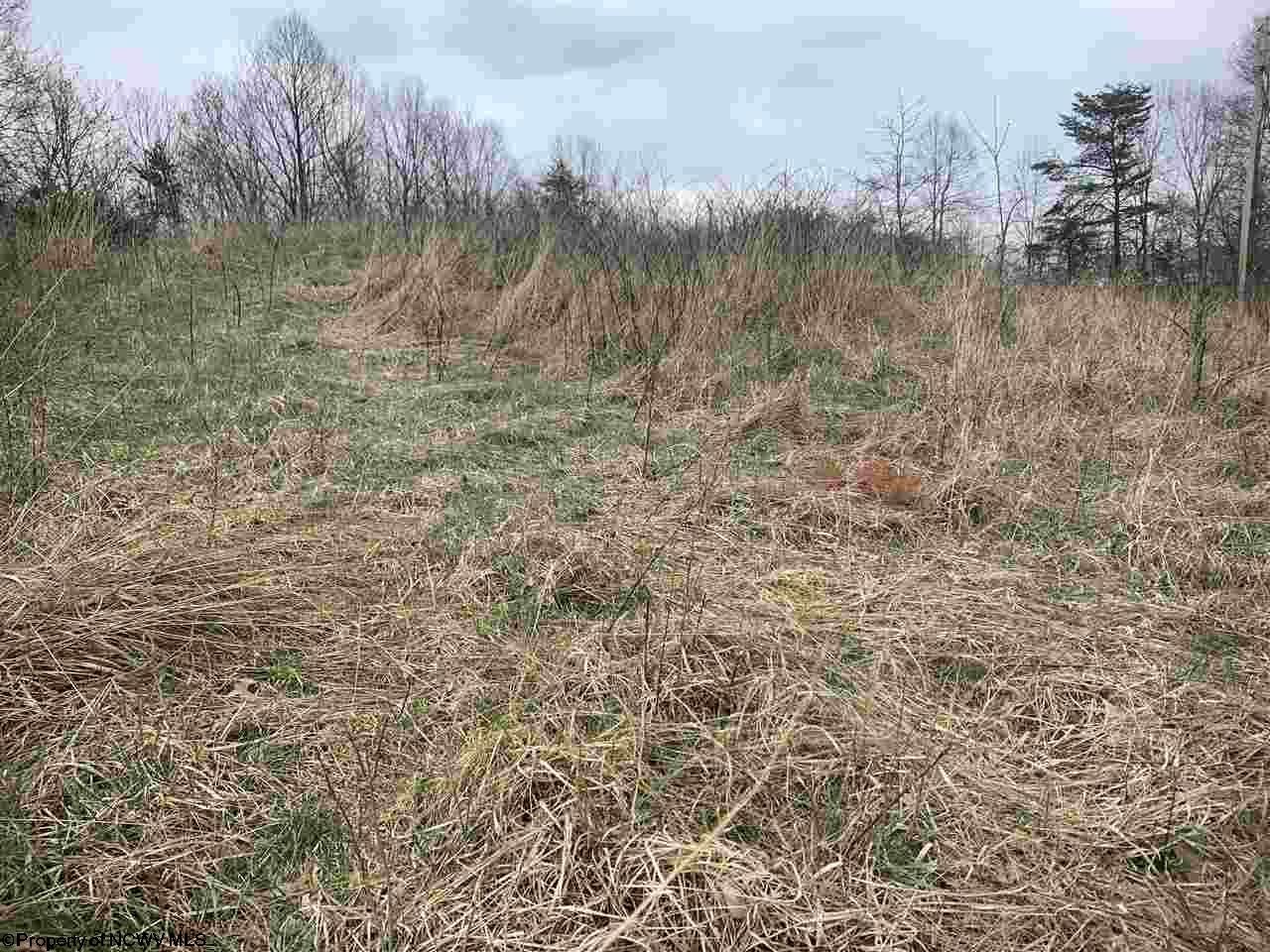 1 Broomstick Road Big Bend, WV 26136 - Photo 5 of 10 Gallery Image 5