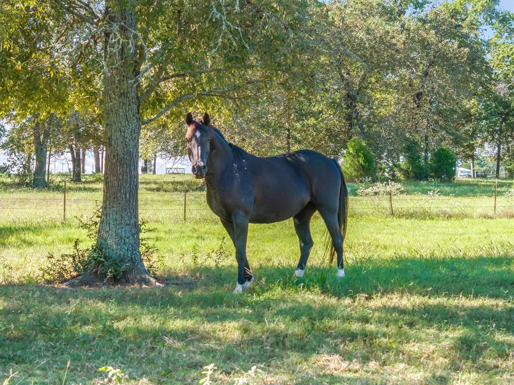 3900 Southwest Loop 7 Athens, TX 75751 - Photo 9 of 40