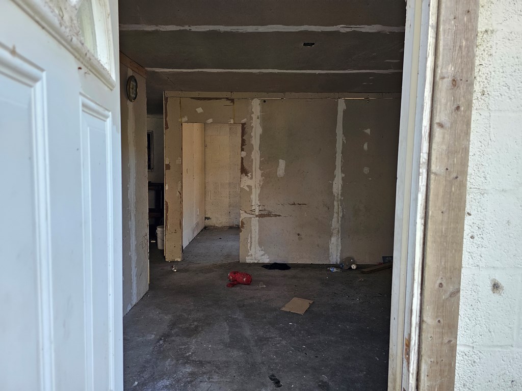 0 Trailer Road Hartford, AL 36344 - Photo 2 of 3