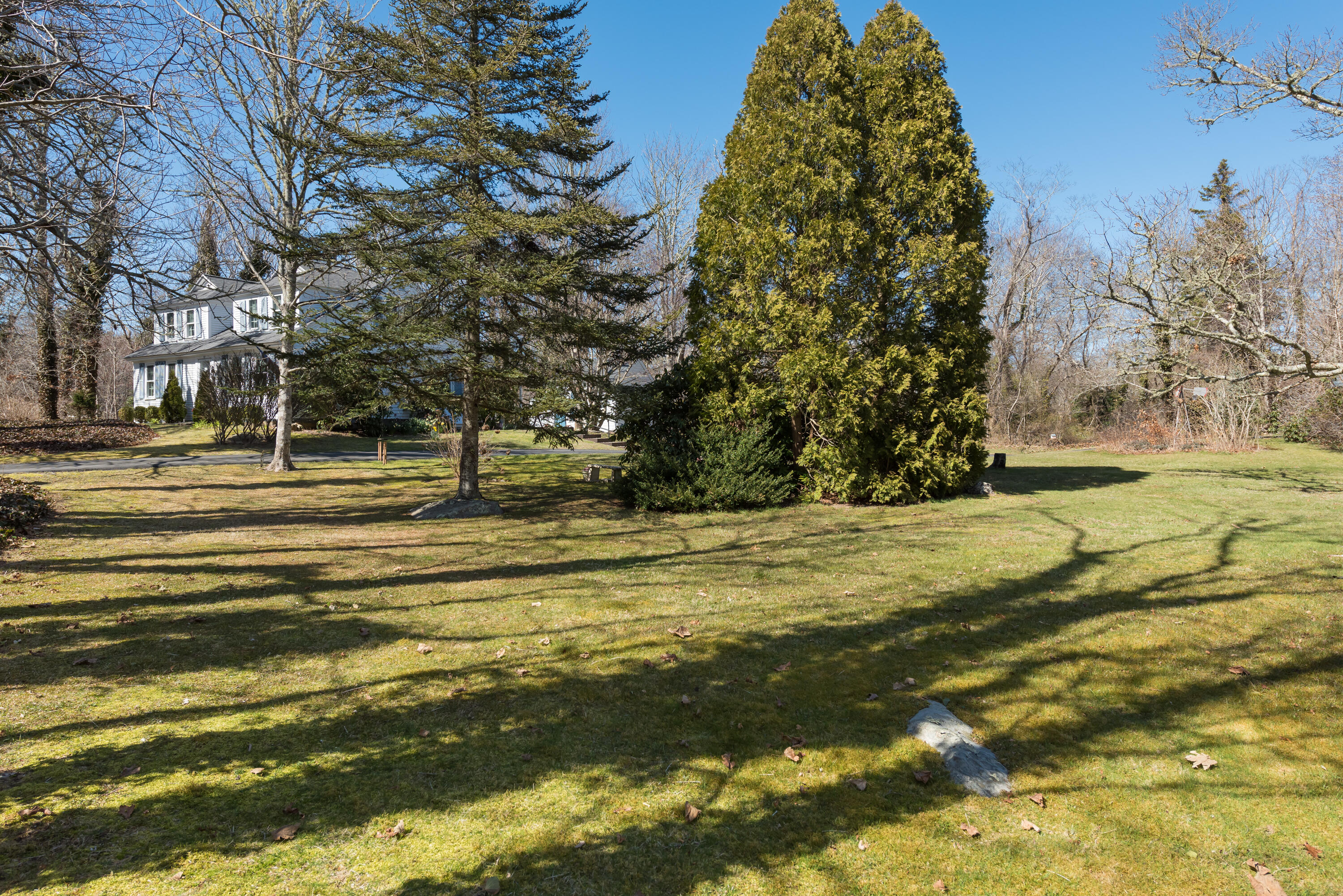 Pastoral view