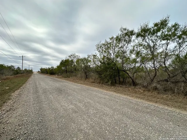 a view of a rural road with plants