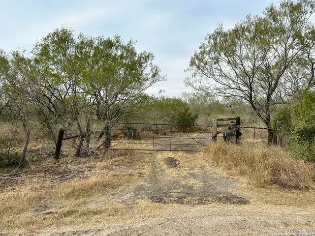 a view of a yard with a tree