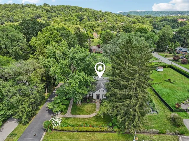 a view of a yard with plants