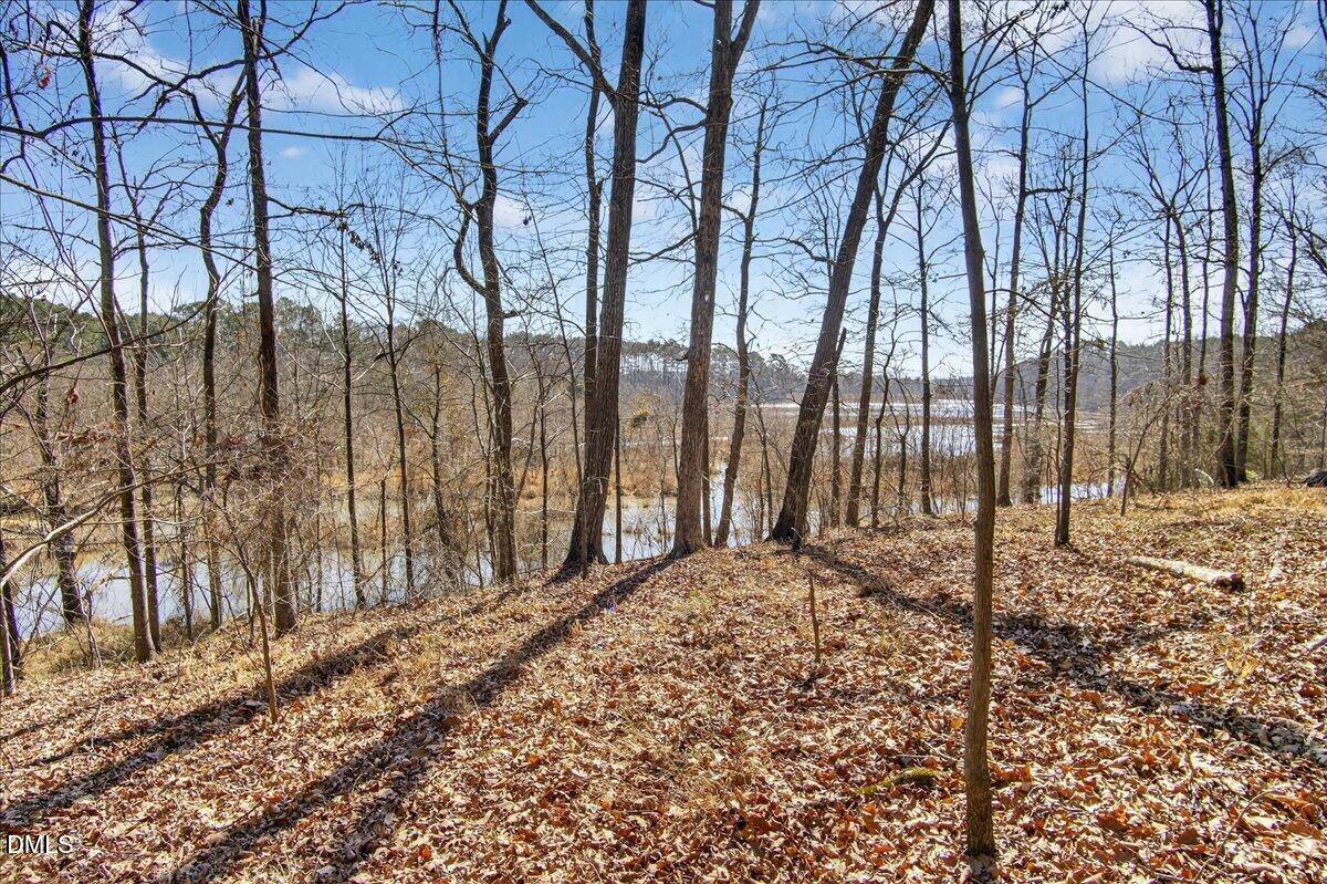 0 Globe Road Morrisville, NC 27560 - Photo 1 of 14 a view of a backyard of the house