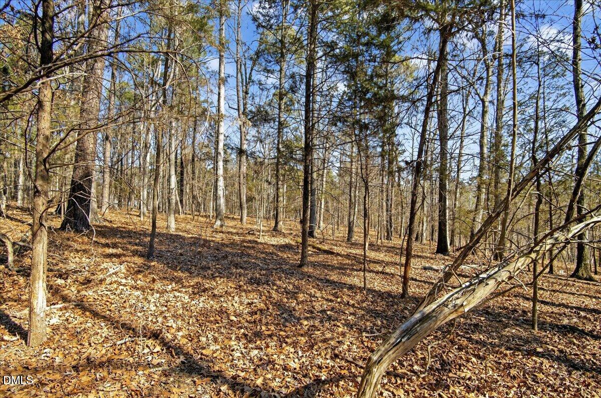 0 Globe Road Morrisville, NC 27560 - Photo 11 of 14 a backyard of a house with lots of green space