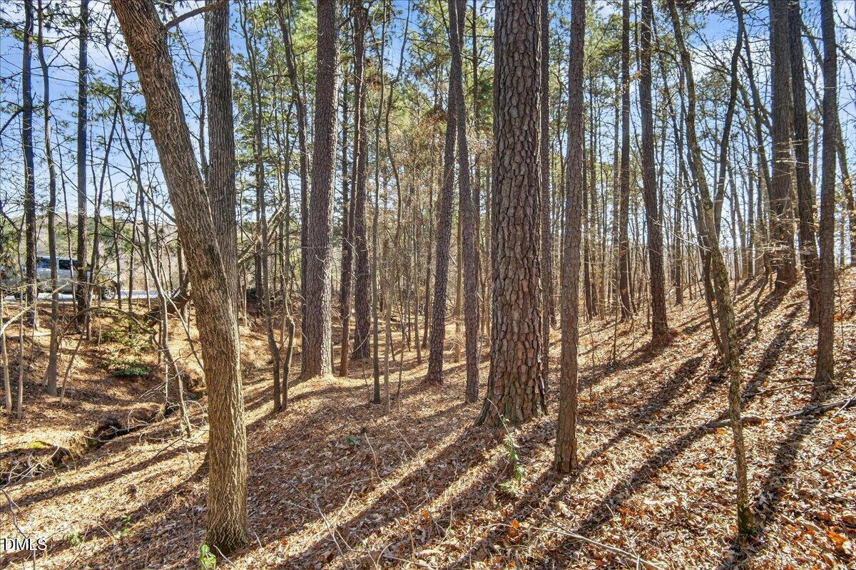 0 Globe Road Morrisville, NC 27560 - Photo 5 of 14 a view of backyard with trees