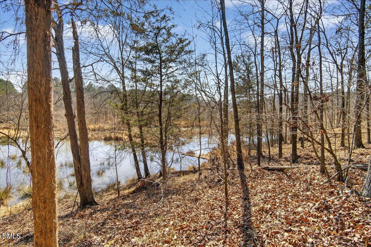 0 Globe Road Morrisville, NC 27560 - Photo 8 of 14 a backyard of a house with lots of green space
