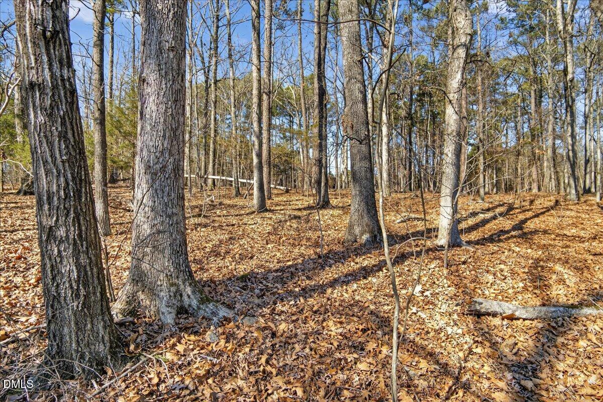 0 Globe Road Morrisville, NC 27560 - Photo 9 of 14 a row of trees