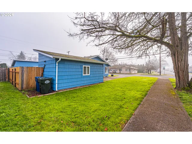 a view of a backyard with a large tree